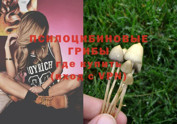 гашик Баксан