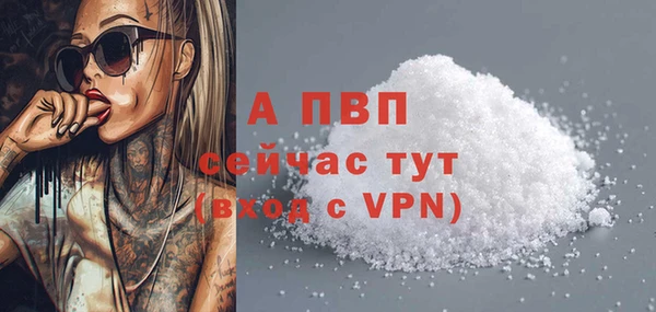 гашик Баксан