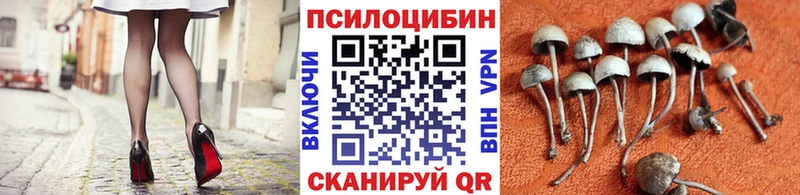 ссылка на мегу   Южа  Галлюциногенные грибы MAGIC MUSHROOMS 